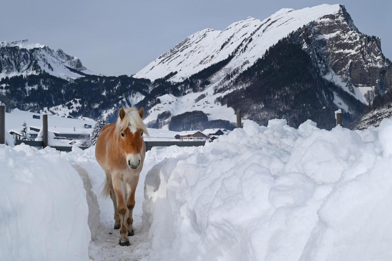 شقة Haus Bergquell Au (Vorarlberg) المظهر الخارجي الصورة