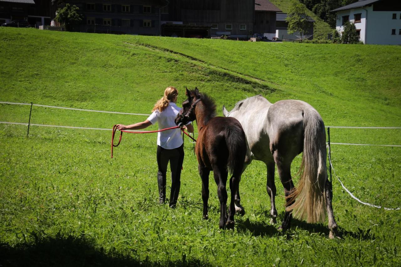 شقة Haus Bergquell Au (Vorarlberg) المظهر الخارجي الصورة